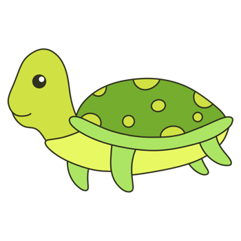 turtle cartoon illustration png