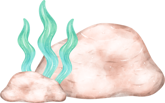Cute watercolor coral reef with brown stone cartoon hand painting png