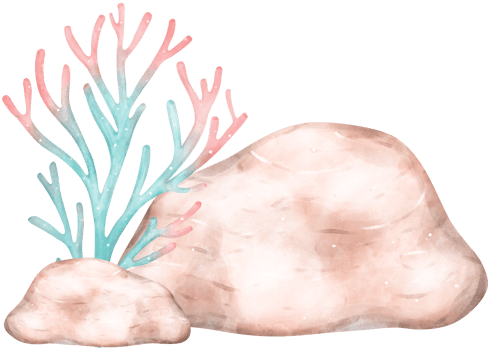 Cute watercolor coral reef with brown stone cartoon hand painting png