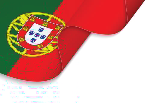 Waving flag. Vector illustration