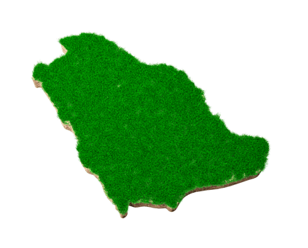 Saudi Arabia Map soil land geology cross section with green grass and Rock ground texture 3d illustration png