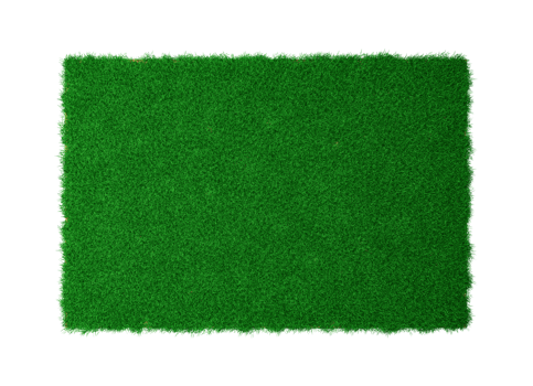 Top View Square green grass, soil land geology cross section earth mud cut away isolated 3D Illustration png