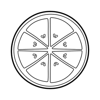 Orange Fruit Slice Line Drawing Icon Vector Illustration
