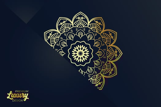 Luxury mandala design background template vector