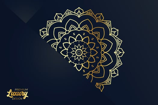 Luxury mandala design background template vector
