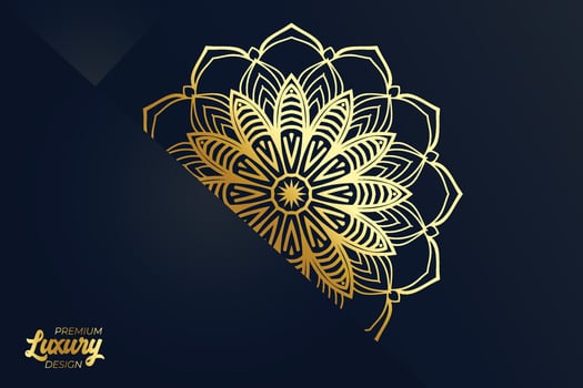 Luxury mandala design background template vector