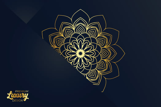 Luxury mandala design background template vector