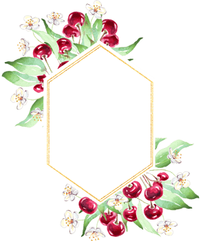 Cherry frame. Watercolor clipart png