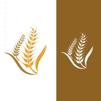 Wheat grain agriculture logo design for bakery business template vector