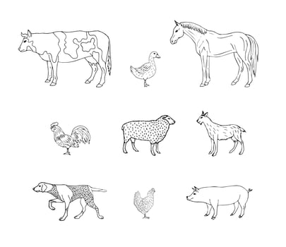 Vector hand drawn set of domestic animals