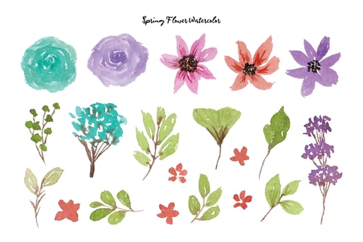 Beautiful Flower and Leaf Watercolor Collection vector