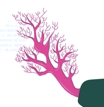 Coral icon. Resume isolated illustration on white background. vector