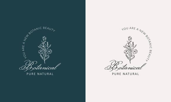 Minimal feminine botanical floral branch and logo. Hand drawn wedding herb, homeplant with elegant leaves. Botanical rustic trendy greenery vector