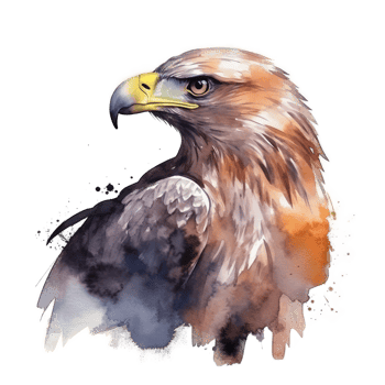 Watercolor eagle isolated. png