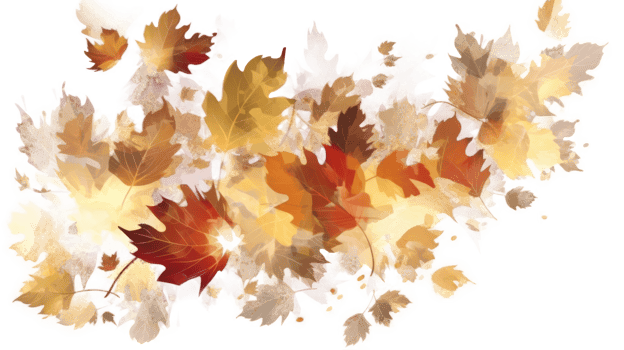 Autumn leaves background. png