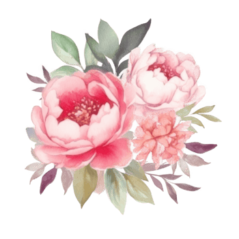 Watercolor peony flower. png