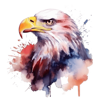 Watercolor eagle isolated. png