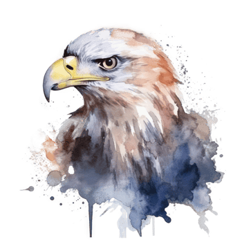 Watercolor eagle isolated. png