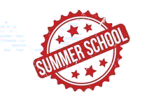 Summer School Rubber Stamp Seal Vector