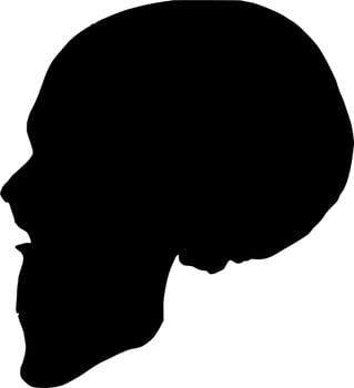 Vector silhouette of Skull on white background