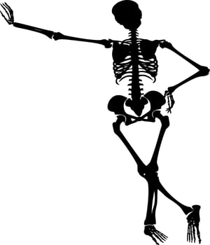 Vector silhouette of Skull on white background