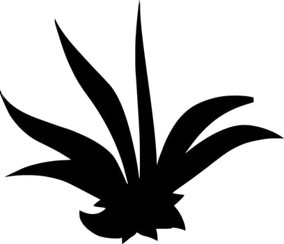 Vector silhouette of plant on white background