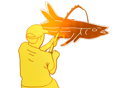 Fishing is the activity of trying to catch fish png