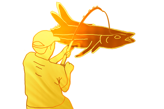 Fishing is the activity of trying to catch fish png