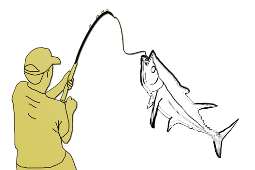 Fishing is the activity of trying to catch fish png
