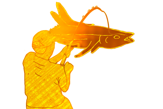 Fishing is the activity of trying to catch fish png