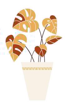 Botanical and decorative plants interior vector
