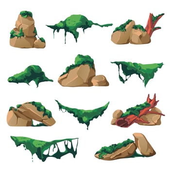 Flowerless green plant, moss on rocks, vector