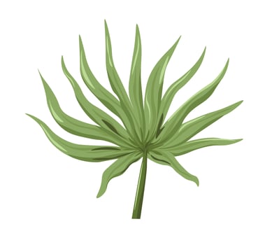 Tropical flora and foliage decoration exotic plant vector