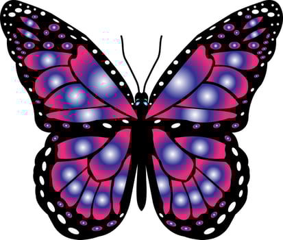 butterfly t shirt design vector