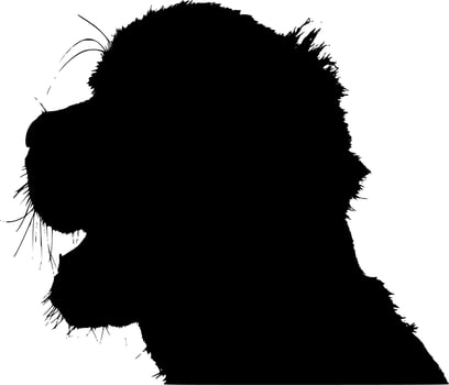 Vector silhouette of Dog on white background