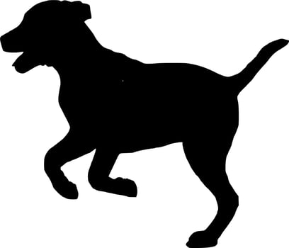 Vector silhouette of Dog on white background