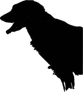 Vector silhouette of Dog on white background