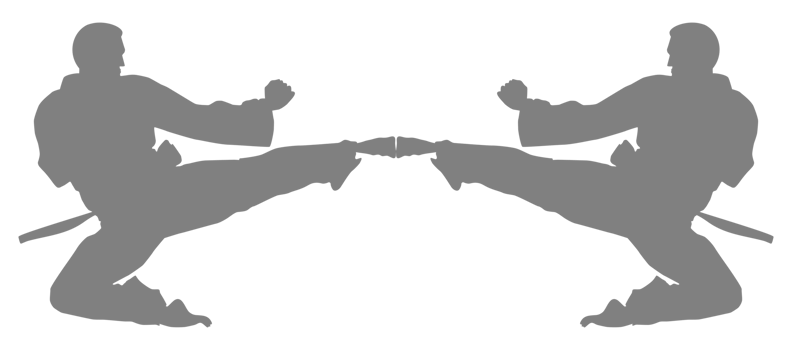 Silhouette of Martial Artist Kick, Taekwondo, Karate, Pencak Silat, Kungfu, for Logo or Graphic Design Element. Format PNG