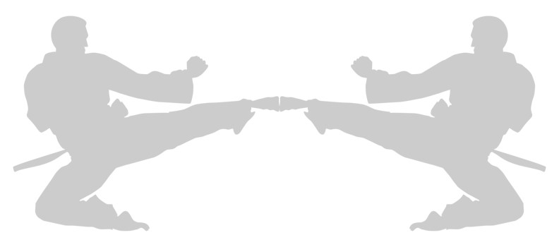Silhouette of Martial Artist Kick, Taekwondo, Karate, Pencak Silat, Kungfu, for Logo or Graphic Design Element. Format PNG