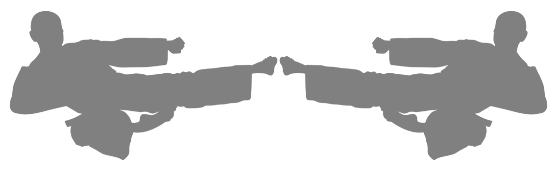 Silhouette of Martial Artist Kick, Taekwondo, Karate, Pencak Silat, Kungfu, for Logo or Graphic Design Element. Format PNG