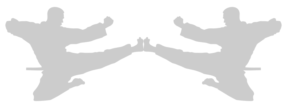 Silhouette of Martial Artist Kick, Taekwondo, Karate, Pencak Silat, Kungfu, for Logo or Graphic Design Element. Format PNG