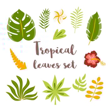 Green tropical leaves set. Hand drawn leaves in cartoon style. Tropical plants decorative graphic elements, hibiscus. Jungle natural collection clip art. Vector illustration.
