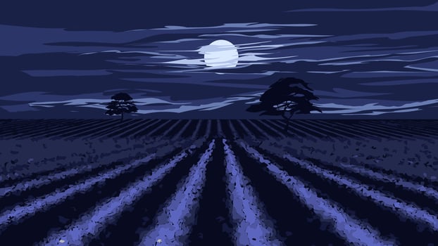 Vector night scene illustration with dramatic sky and moonlight over farmland