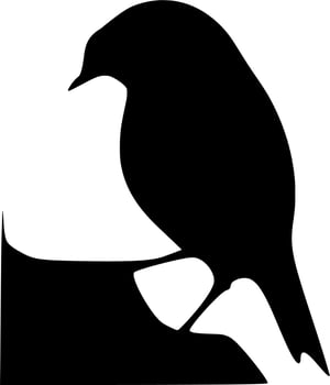 Vector silhouette of Birds on white background
