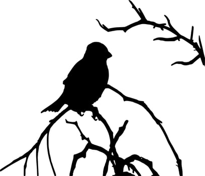 Vector silhouette of Birds on white background