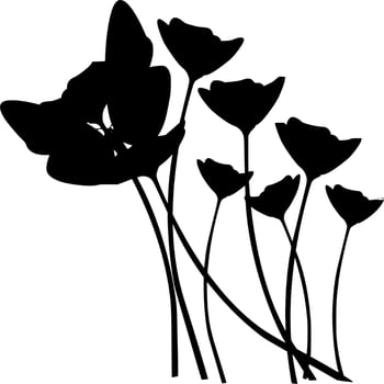 Vector silhouette of Flowers on white background