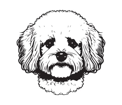 Bichon Frise Face, Silhouette Dog Face, black and white Bichon Frise vector
