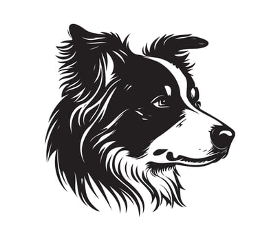 border collie Face, Silhouette Dog Face, black and white border collie vector