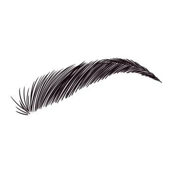 Black Eyebrow Drawing png