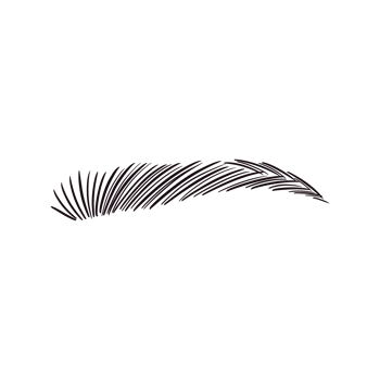 Black Eyebrow Drawing png